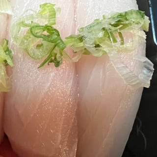 Yellowtail
